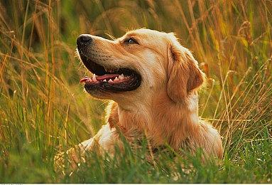 PS5与PS4同期销量对比：新主机领先优势再度扩大